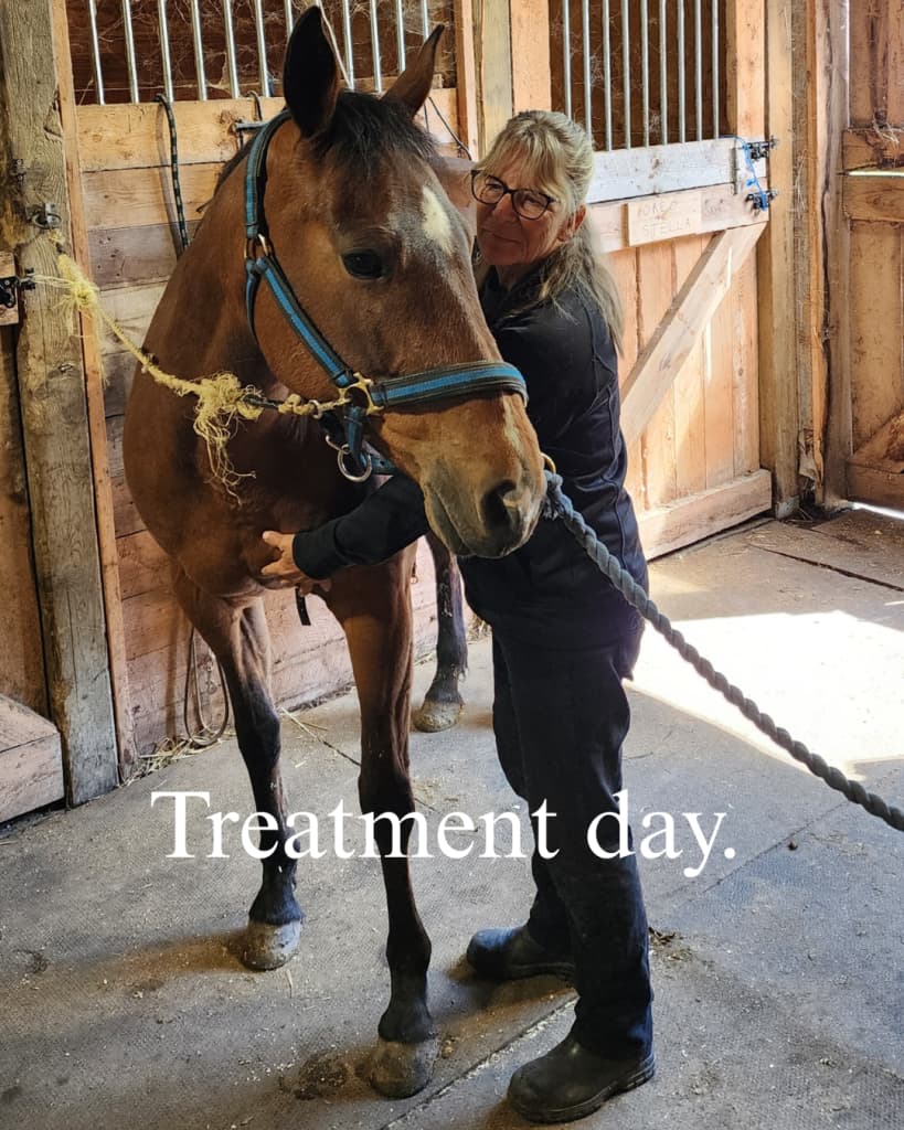 Healing with the Herd