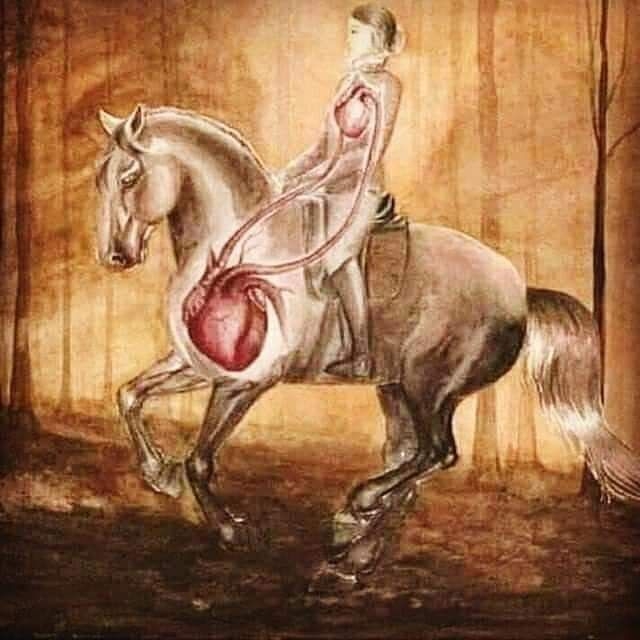 Pain and Wellness Solutions - Diagram of Energy Connection Between Humans and Horses, focusing on the Hearts