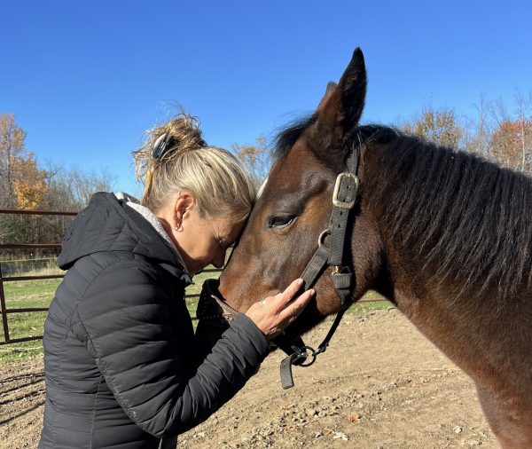 Pain and Wellness Solutions - Healing with the Herd Services